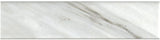 Style Selections Chique Gris Thru Body Porcelain Marble Bullnose Tile (3-in x 12-in)