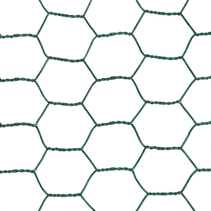 Everbilt 1 in. Mesh x 2 ft. x 25 ft. 20-Gauge Green PVC Coated Poultry Netting