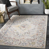Surya Ankara 7 x 9 Grey Indoor Medallion Oriental Area Rug - Super Arbor