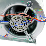 Nordyne 1003481 blower motor - detail view (Product Type: Blower Motor)