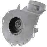 Heil Quaker (ICP) 1014525 inducer motor - detail view (Product Type: Inducer Motor)
