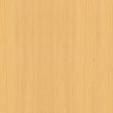 JELD-WEN 10 Lite Wood 48-in x 80-in Unfinished Pine Interior French Door with Clear Glass, Prehung, Hardware Included