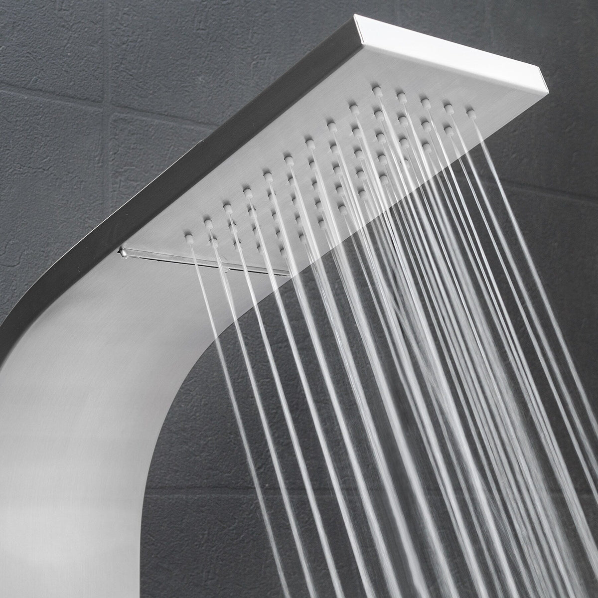 AKDY 63-in Stainless Steel 2-Spray Shower Panel System (Valve Included)