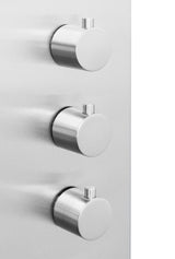 AKDY 58-in Stainless Steel 2-Spray Shower Panel System (Valve Included)