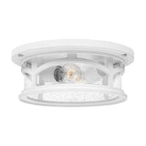 Quoizel Marblehead 10.25-in W Fresco Outdoor Flush Mount Light