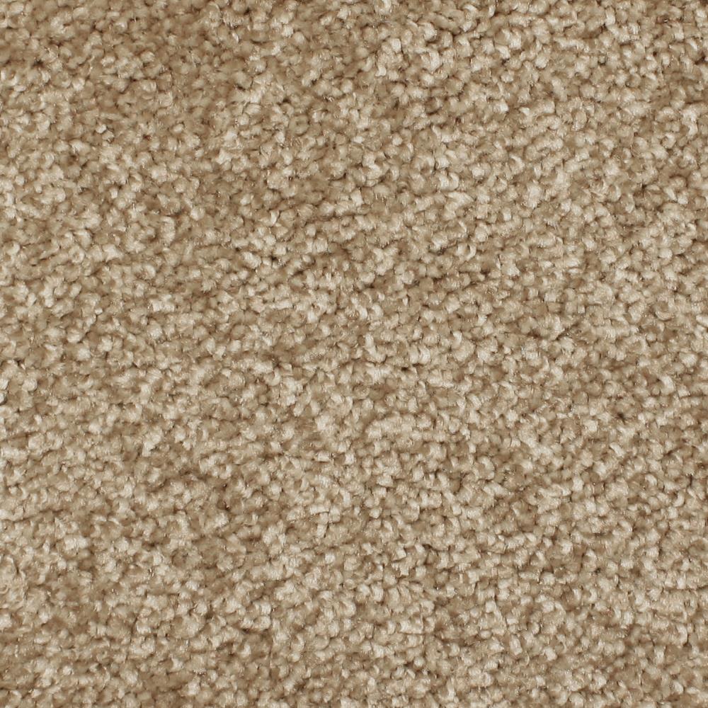 STAINMASTER PetProtect Briarcliffe Hills Chambray Textured Carpet Sample (Interior)
