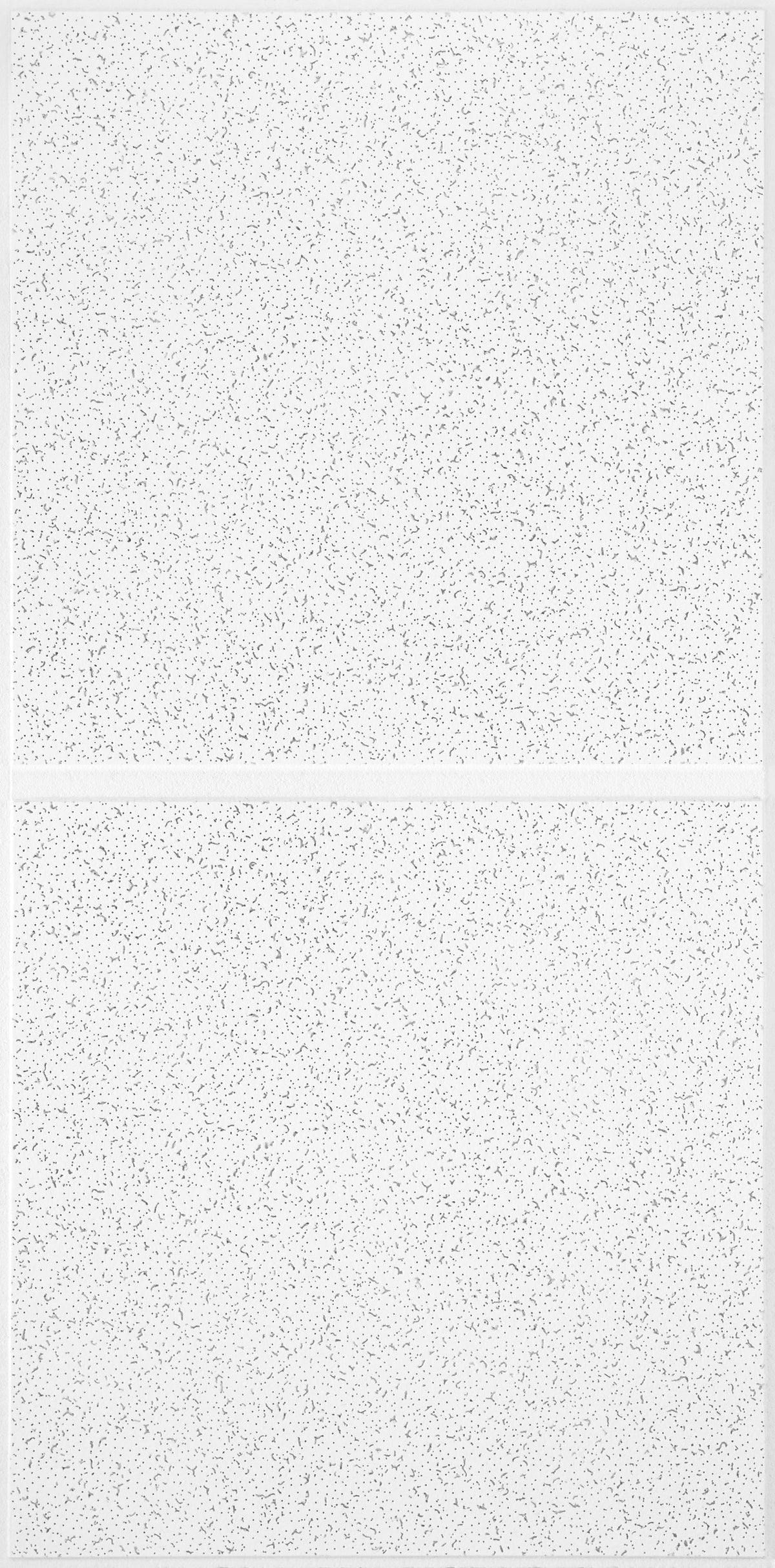 Armstrong Ceilings 48-in x 24-in Scored Contractor White Fissured 15/16-in Drop Acoustic Panel Ceiling Tiles, 10-Pack