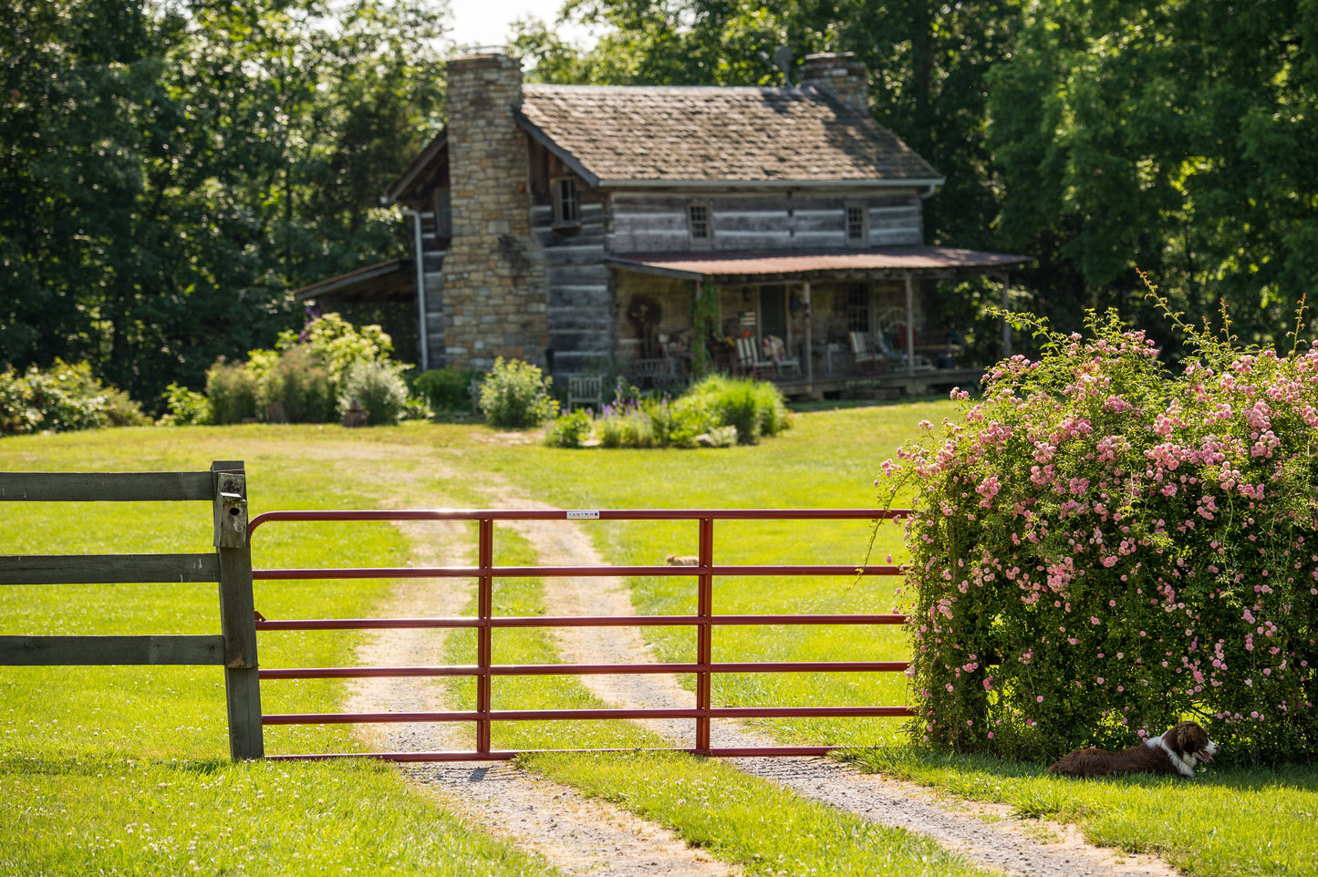 Tarter 4-ft H x 20-ft W Red E-coat Steel Corral Flat-top Farm Fence Gate