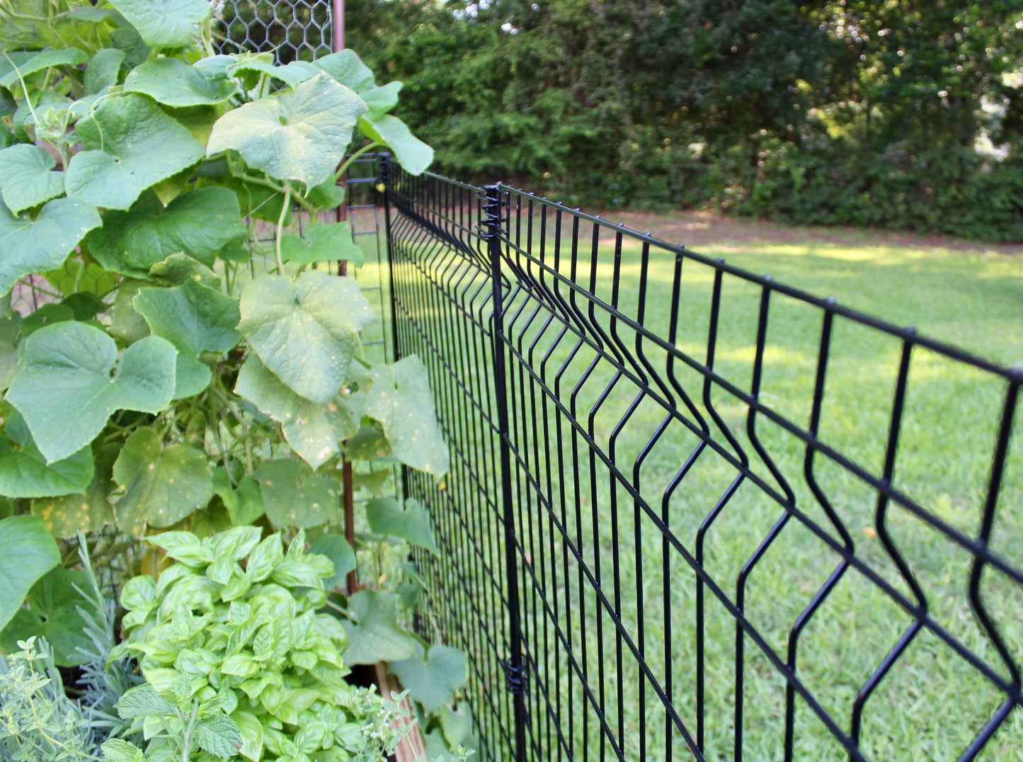 YARDLINK 3-ft W Powder-coated Galvanized Steel Flat-top No Dig Garden Fence Panel
