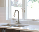 Project Source Ellesburg Stainless Steel 1-Handle Deck-Mount Pull-Down Kitchen Faucet with Sprayer (Deck Plate Included)