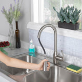 Project Source Tucker Stainless Steel 1-Handle Deck-Mount Pull-Down Kitchen Faucet with Sprayer (Deck Plate Included)