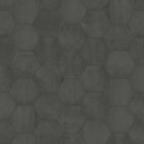 Satori Nouveau Nero 7-in x 8-in Matte Porcelain Encaustic Hexagon Floor and Wall Tile (0.28-sq. ft/ Piece)
