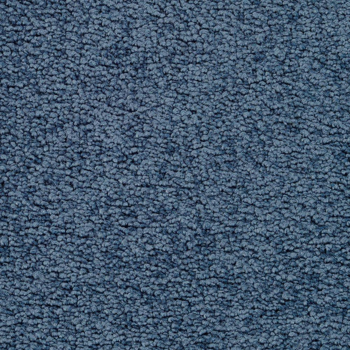 STAINMASTER Active Family Signature Blue Steel Textured Carpet Sample (Exterior)