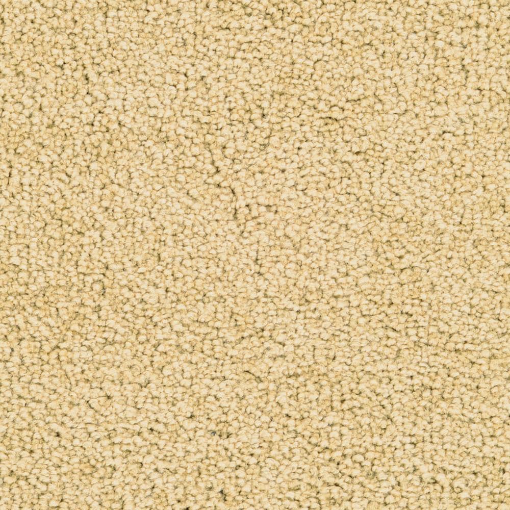 STAINMASTER Active Family Signature Garden Textured Carpet Sample (Exterior)