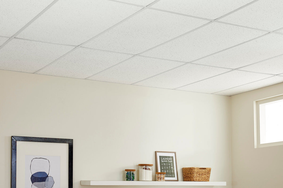 Armstrong Ceilings 48-in x 24-in Textured Contractor White Fissured Drop Acoustic Ceiling Tiles, 4-Pack (15/16-in Grid)