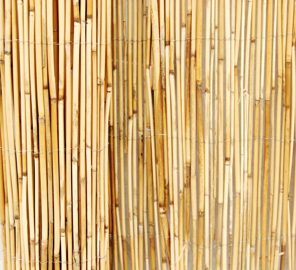 Backyard X-Scapes 4-ft x 8-ft Bamboo No Dig Fence Panel