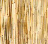 Backyard X-Scapes 4-ft x 8-ft Bamboo No Dig Fence Panel