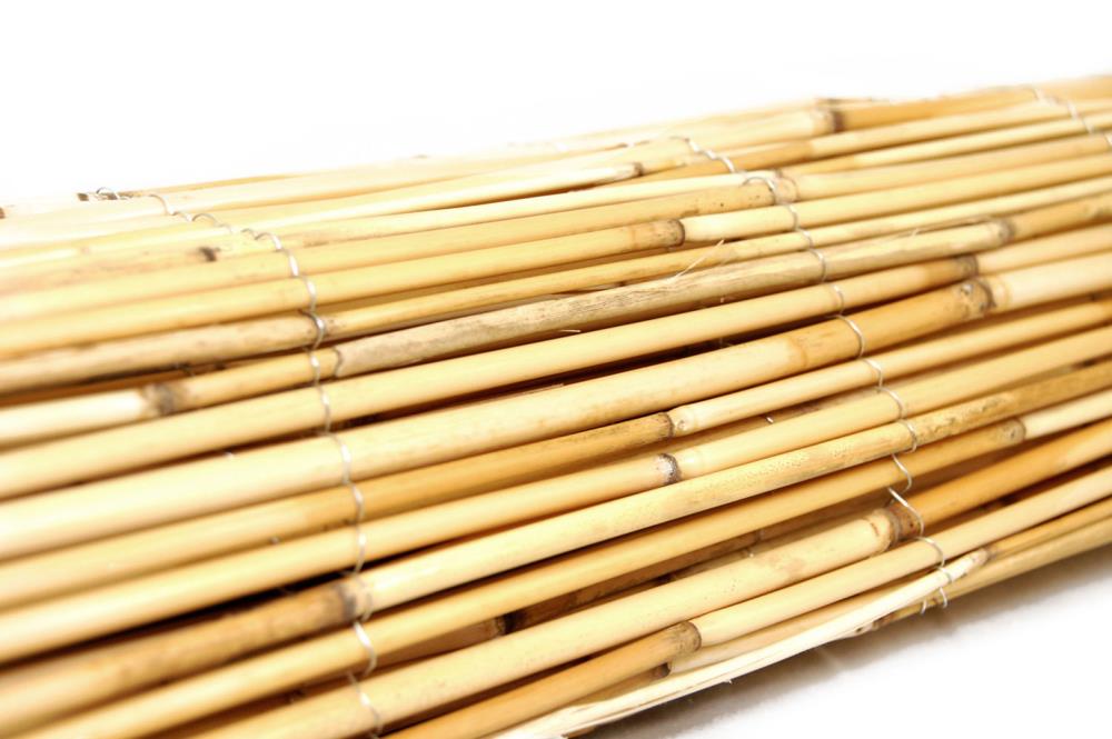 Backyard X-Scapes 4-ft x 8-ft Bamboo No Dig Fence Panel