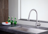 ANZZI Tycho Brushed Nickel 1-Handle Deck-Mount Pull-Out Kitchen Faucet, 15.75-in Height