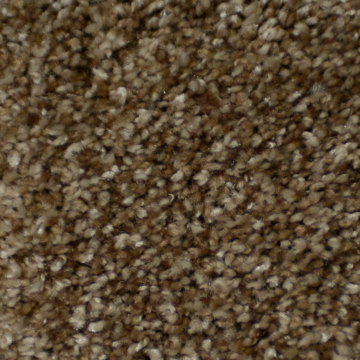 STAINMASTER Signature Documentary Montage Textured Carpet Sample (Interior) - 8 in x 8 in