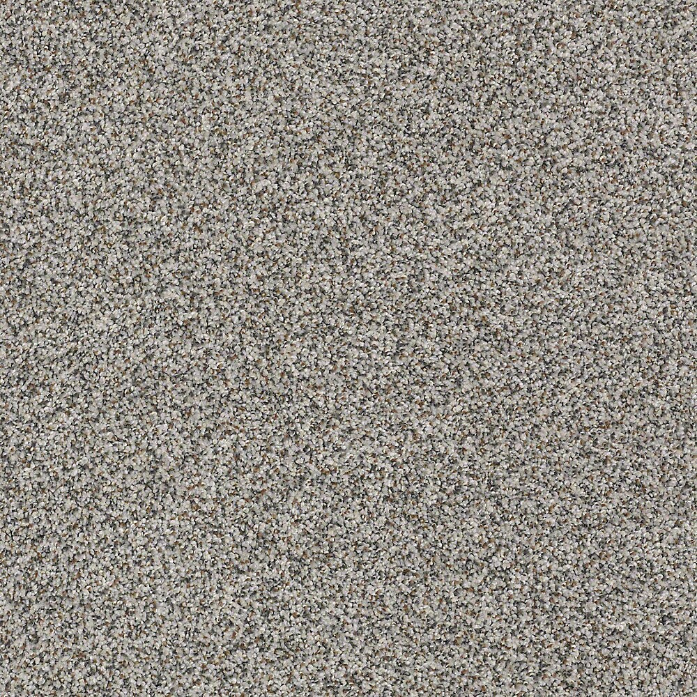 STAINMASTER PetProtect Mineral Bay I 12-ft Harbor Mist Textured Carpet Sample (Interior)