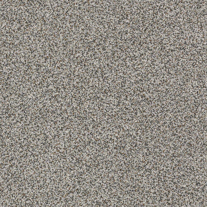 STAINMASTER PetProtect Mineral Bay I 12-ft Harbor Mist Textured Carpet Sample (Interior)
