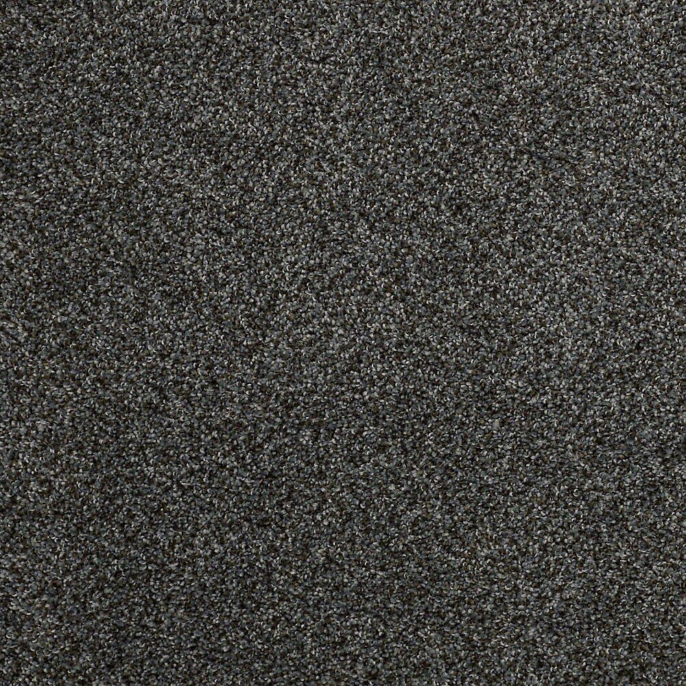 STAINMASTER PetProtect Mineral Bay I 12-ft Inlet Textured Carpet Sample (Interior)