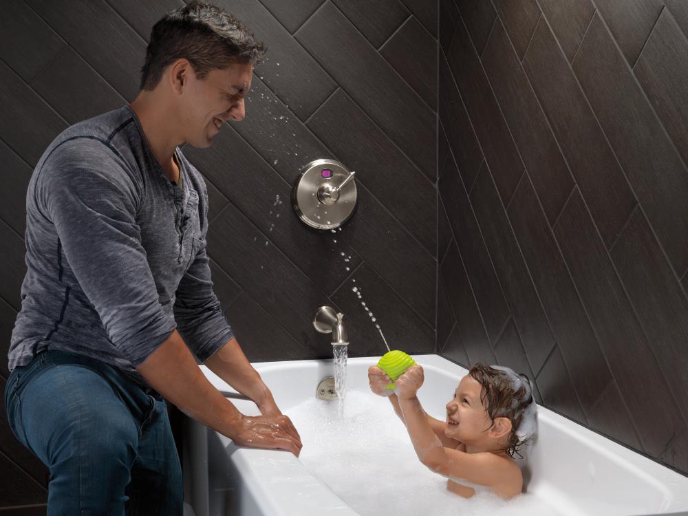 Delta Stainless Lever Shower Handle, H797SS