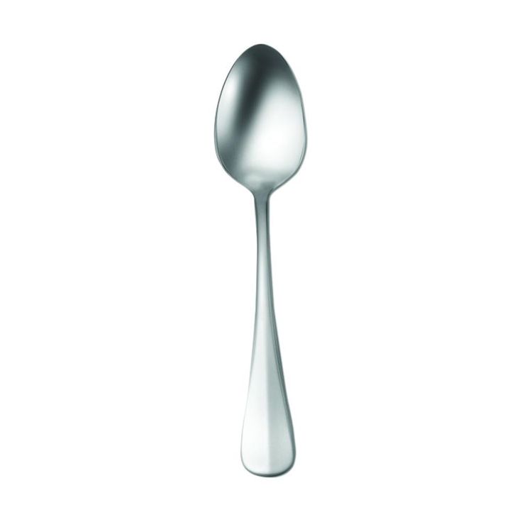 Baguette 18/10 Stainless Steel Silver Serving Spoon (Set of 12)