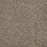 TrafficMaster Toulon 12 ft. Wide x Cut to Length Indoor/Outdoor Thornwood Artificial Grass