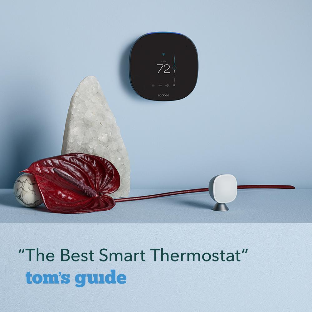SmartThermostat with Voice Control - Super Arbor