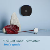 SmartThermostat with Voice Control - Super Arbor