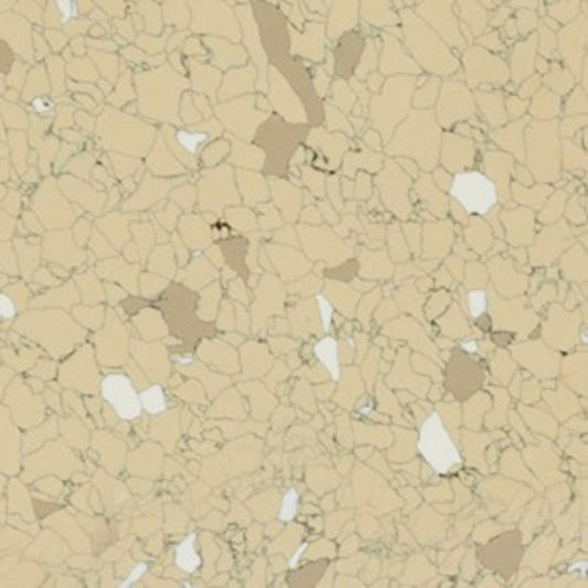 Flexco Dissipative Tile Golden Gate 24-in x 24-in Glue Down Vinyl Tile Flooring (9-sq ft)