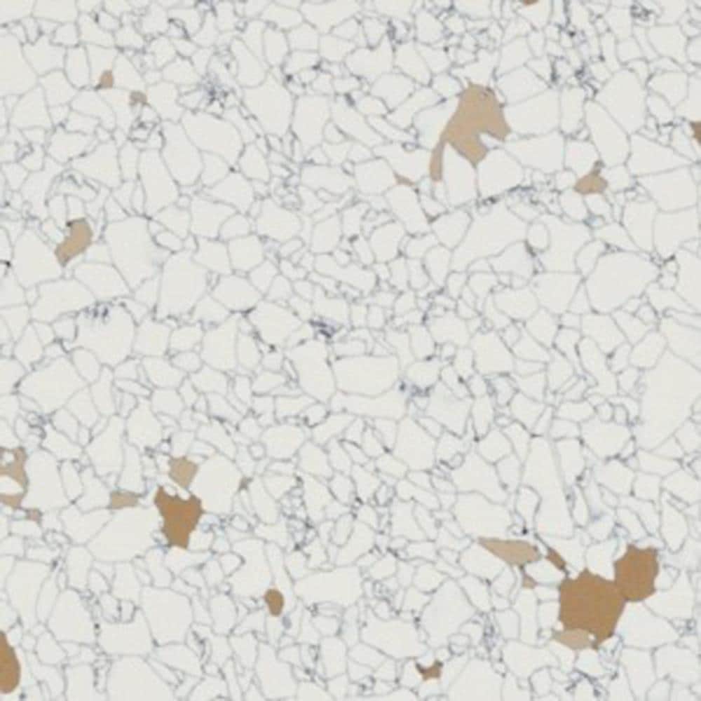 Flexco Toasted Coconut Off-white Speckle 12-in W x 12-in L Glue Down Vinyl Tile Flooring (1-sq ft/ Piece)