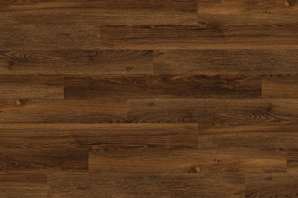 14517362_-566985729.jpg