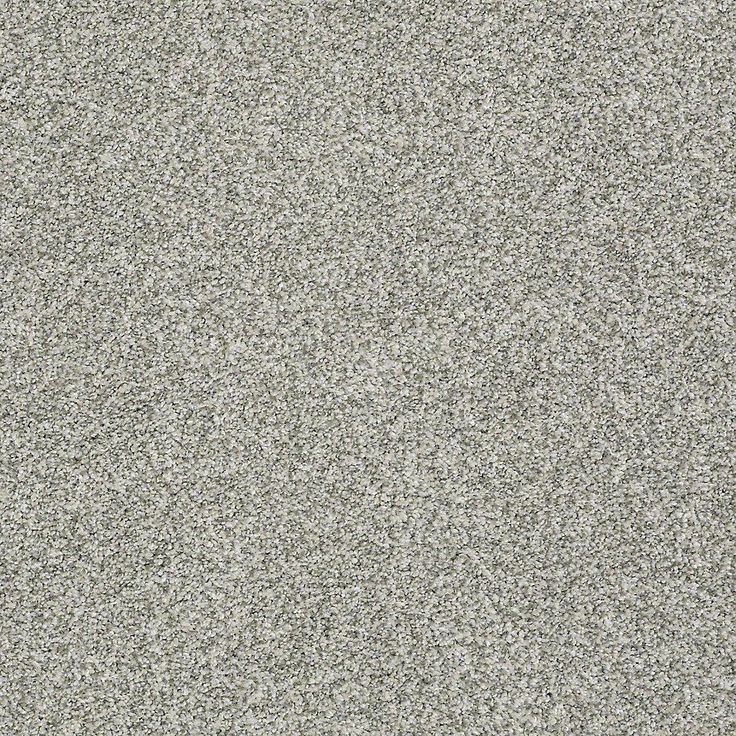 STAINMASTER PetProtect Baxter I Trixie Textured Carpet (Indoor)