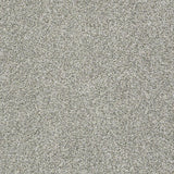 STAINMASTER PetProtect Baxter I Trixie Textured Carpet (Indoor)