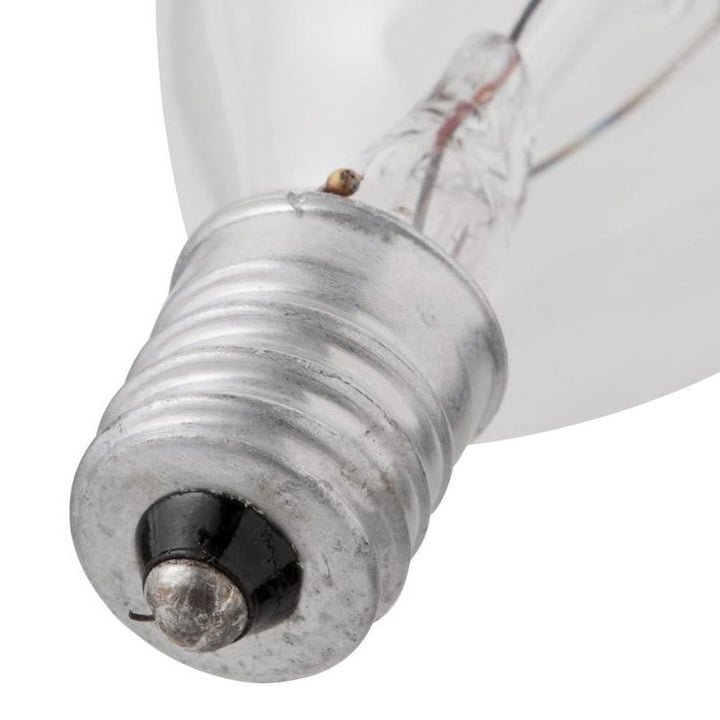 Sylvania 25-Watt Double Life B10 Incandescent Light Bulb (4-Pack)