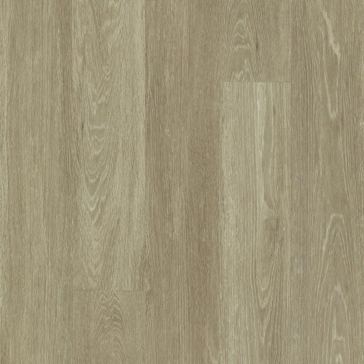 Shaw Westwork Cast Brown 12-mil x 6-in W x 48-in L Waterproof Glue Down Luxury Vinyl Plank Flooring (41.72-sq ft/ Carton)