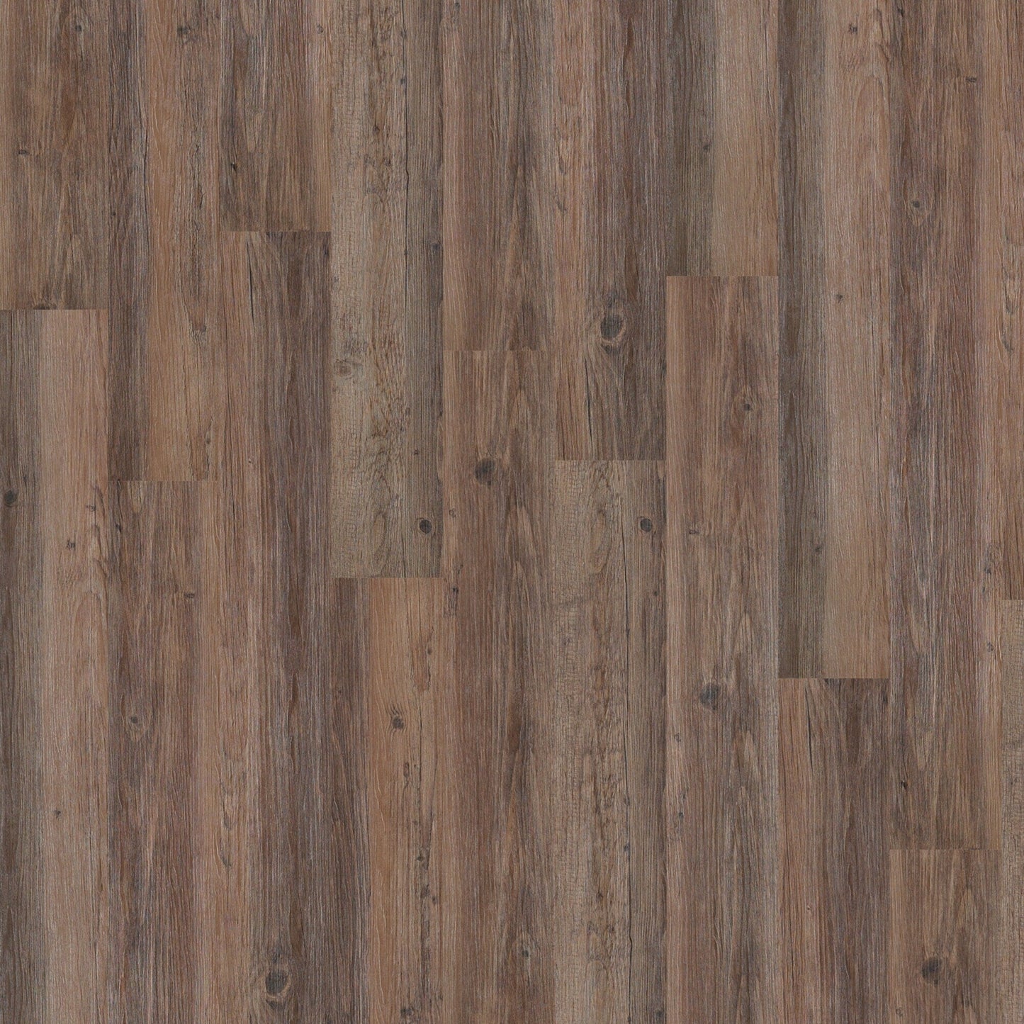Shaw Farmers Market 6 mil Homegrown 6-in Wide x 2-mm Thick Waterproof Luxury Vinyl Plank Flooring (53.93-sq ft)