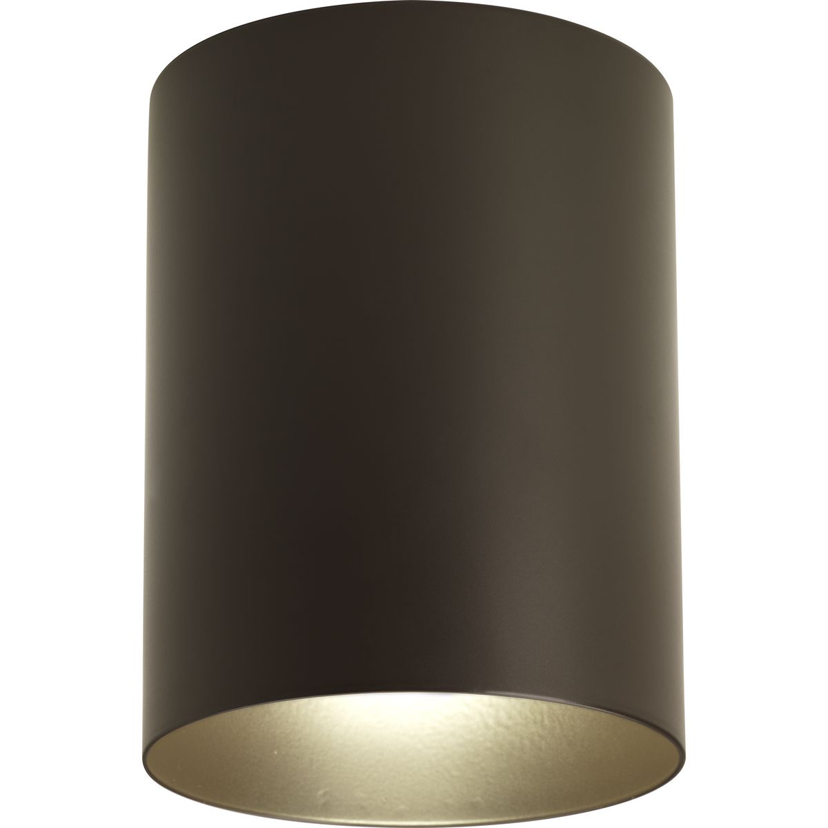 Progress Lighting Cylinder 5-in Antique Bronze Indoor/Outdoor Flush Mount Light, P5774-20