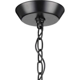 Progress Lighting Lassiter 3-Light Black Traditional Clear Glass Cylinder Medium Hanging Pendant Light