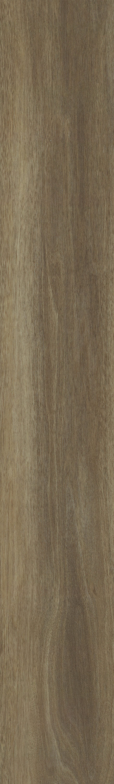Shaw Prismatic Plus Beacon Walnut 7-in Wide x 5-1/2-mm Thick Waterproof Luxury Vinyl Plank Flooring (18.91-sq ft)