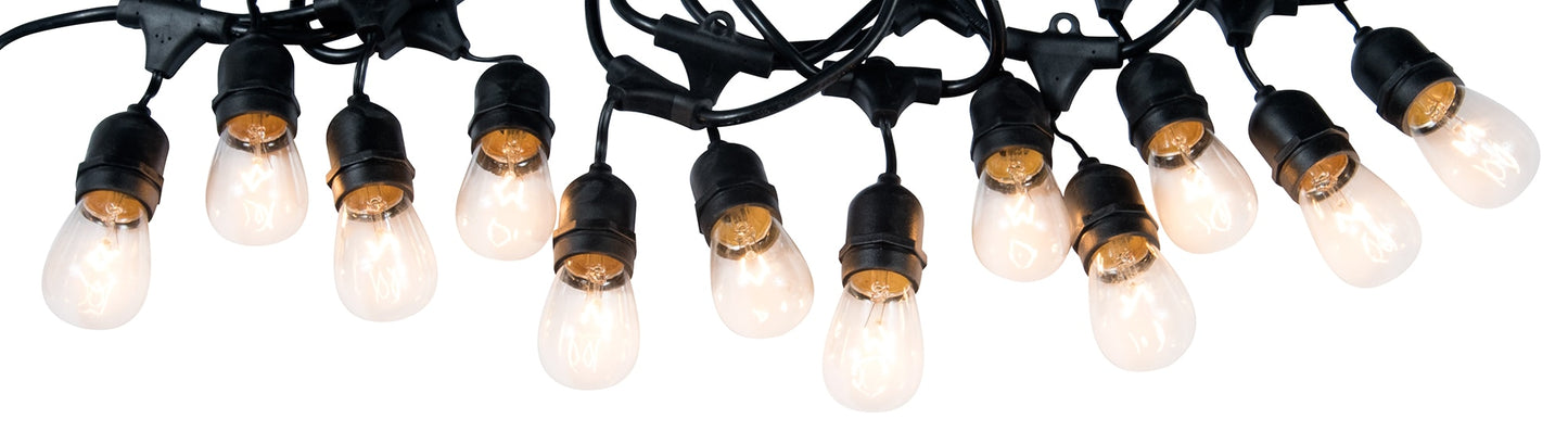 Portfolio 24-ft 12-Light Plug-In Bulbs String Lights