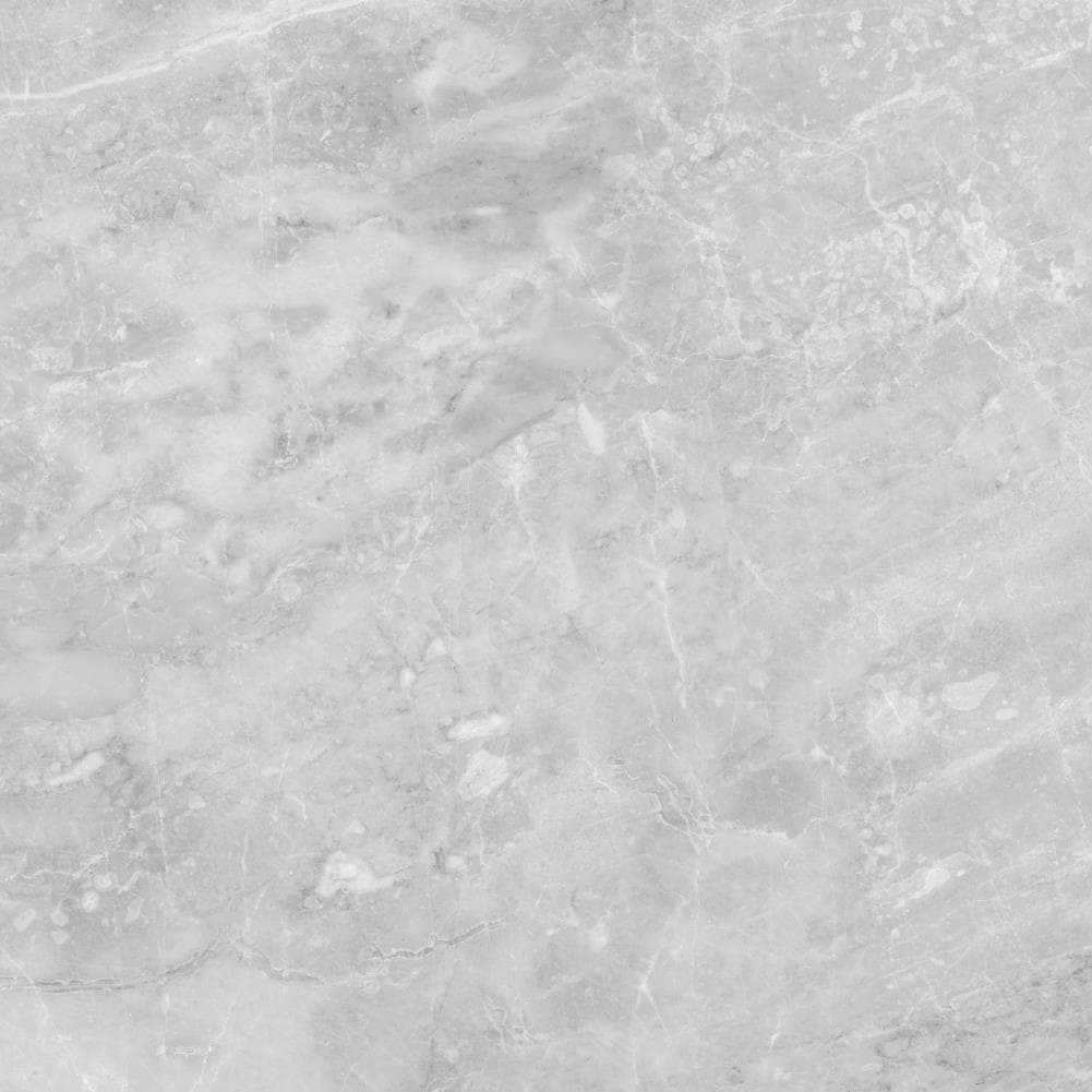 Satori Eden Ice 24-in x 24-in Polished Porcelain Wall Tile (3.87-sq. ft/ Piece)