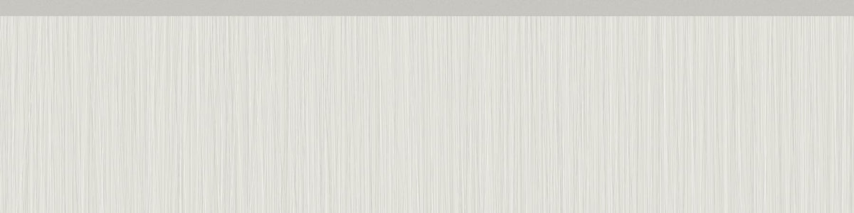 Satori Ikon Glacier Matte Bullnose 3-in x 12-in Matte Porcelain Tile (0.23-sq ft per Piece)