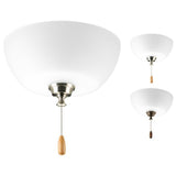 Wisten Collection 2-Light Unfinished Ceiling Fan Light Kit