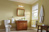 Project Source 24.25-in x 24-in Surface Mount Oak Mirrored Medicine Cabinet