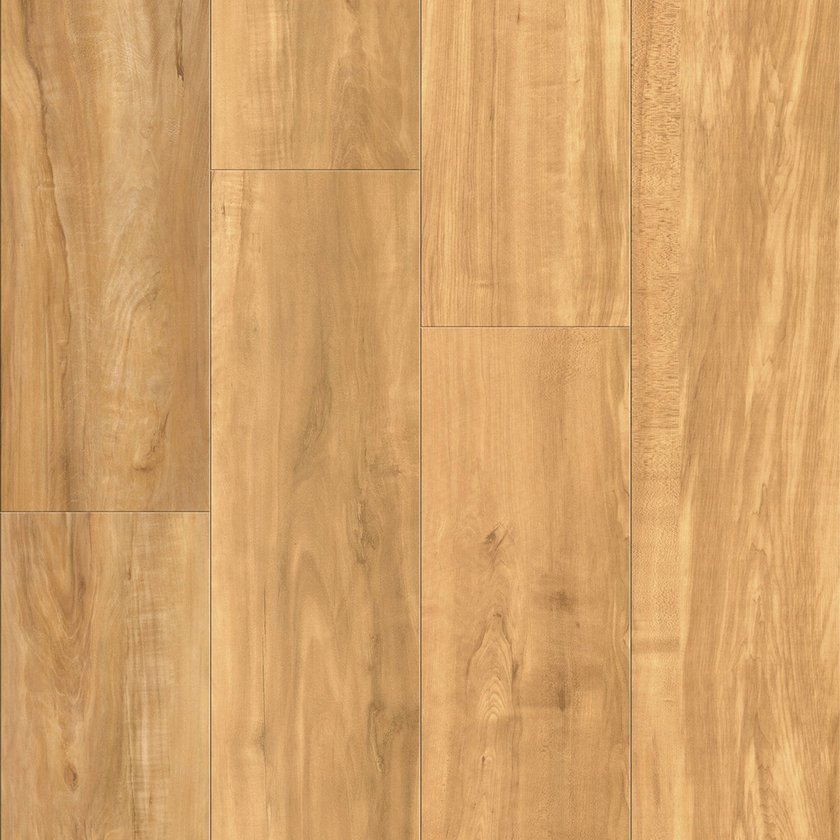 CALI (Sample) Vinyl Pro Classic Blonde Ale 20-mil x 7.13-in Waterproof Luxury Vinyl Plank