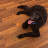 CALI (Sample) Vinyl Pro Classic Saddlewood 20‑mil x 7.13-in Waterproof Luxury Vinyl Plank